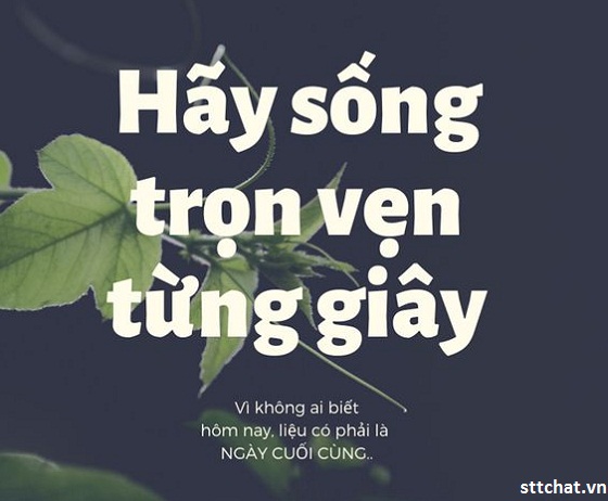 cap-hay-ve-cuoc-song-vo-thuong