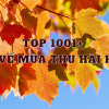 Top 1001+ caption, stt về mùa thu hài hước, đáng yêu – Stt thả thính mùa thu